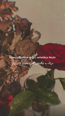 #foryou #foryoupage #for 