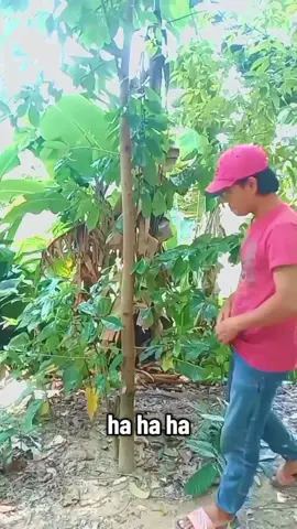 Buti nalang Ang magic words di ko nakalimutan nasumpa pa sana ako ni Dwendi😁 #funnyvideos😂 #forentertainmentpurposesonly #everyonehighlightsfollowers 