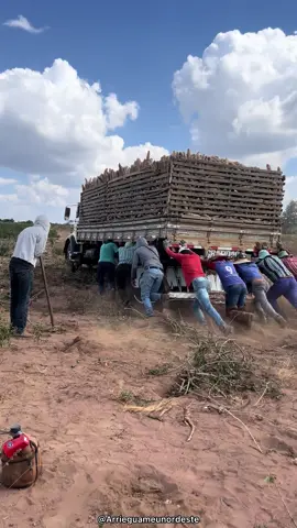 Carrada de mandioca 