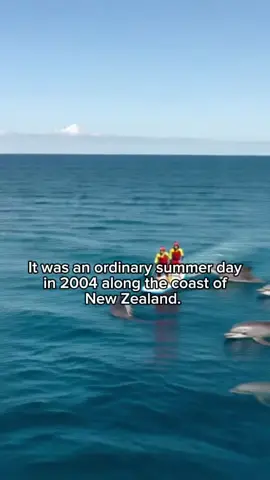 When dolphins become heroes… Watch as a pod of dolphins protect humans from a lurking great white shark in the open ocean. Nature’s courage and compassion in action! 💙 #DolphinRescue #NatureHeroes #Shark #OceanLife #Wildlife       