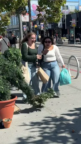 “YOU’RE SO UNFUNNY AND ANNOYING! 😤😳” 😆🪴😂🌳 #bayarea #bushman #funny #prank Scaring tourists in the San Francisco Bay Area, California.