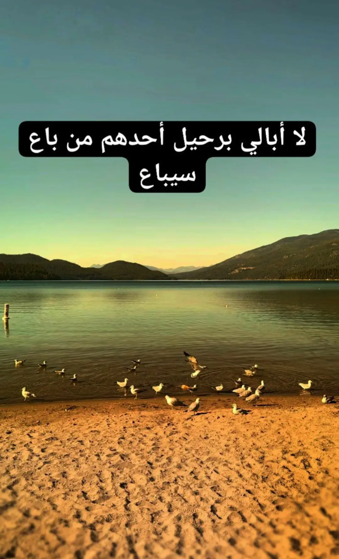 #اكسبلوررر #أكتفاء #اكتفاء_ذاتي 