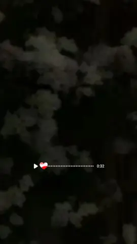 #CapCut قران الكريم 🥺.......  #قرأن_كريم_راحة_نفسية #ارح_سمعك_بالقران #اكتب_شيء_تؤجر_عليه🌿🕊 