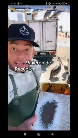 Dominicana en casa ❤️🇨🇱#venzolanosenchile🇨🇱❤ #chile🇨🇱 #valparaisochile🇨🇱 #losbuenossomosmas #republicadominicana🇩🇴 @🇩🇴nefectary💎yewerlay🇪🇸 @🌵🦌💚𝘾𝐋Є𝗠モƝͲ𝐈⃨ƝɅ💚🦌🌵 @🦭Alexa.Rose🦭🇨🇱 @ariel Fuenzalida 💚 @Don Rafa @🎙🎶 Liz La Voz De Oro ❌️🏈 @Anubhis @Paola🦭 @el chamo de Venezuela 