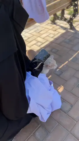 القطط ليست مجرد مخلوقات أليفة، بل هي أمانة بين أيدينا. وقد قال الرسول ﷺ: في كل كبدٍ رطبةٍ أجر.                                                          # حب_القطط 🐾 #رحمه  #حديث #قططمة_محمد ﷺ                                             #اسلام #أهل_السنة_والجماعة #trend #viral #tiktok #شعب_الصيني_ماله_حل😂😂 #fyppppppppppppppppppppppp 