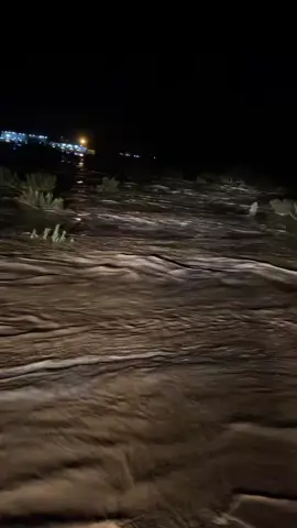 معاد ابي من سود الايام تعليم ّ.