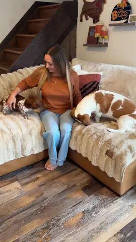 These couch covers actually hold up to our crazy pups. They come in a bunch of different colors and sizes. They’re so soft and comfy! #couchcover #cozyathome #cozyhome #couchcoverfordog #tiktokmademebuyit 