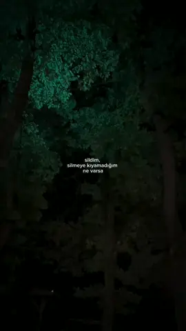 #sildimseni 