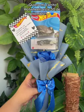 Carrito Hotwheels y una rosa🥹✨💙🫶🏻 Ubicados en San Juan De Los Morros, Edo Guarico💙📌❤️🏞️ #hotwheels #hombres  @Verónica🩷 @Beba 😉 #LIVEIncentiveProgram #LIVEwithlowfollowers #PaidPartnership 