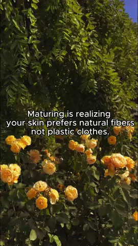 Your skin wasn’t designed to breathe plastic 24/7. #plasticfree #sustainablefashion 