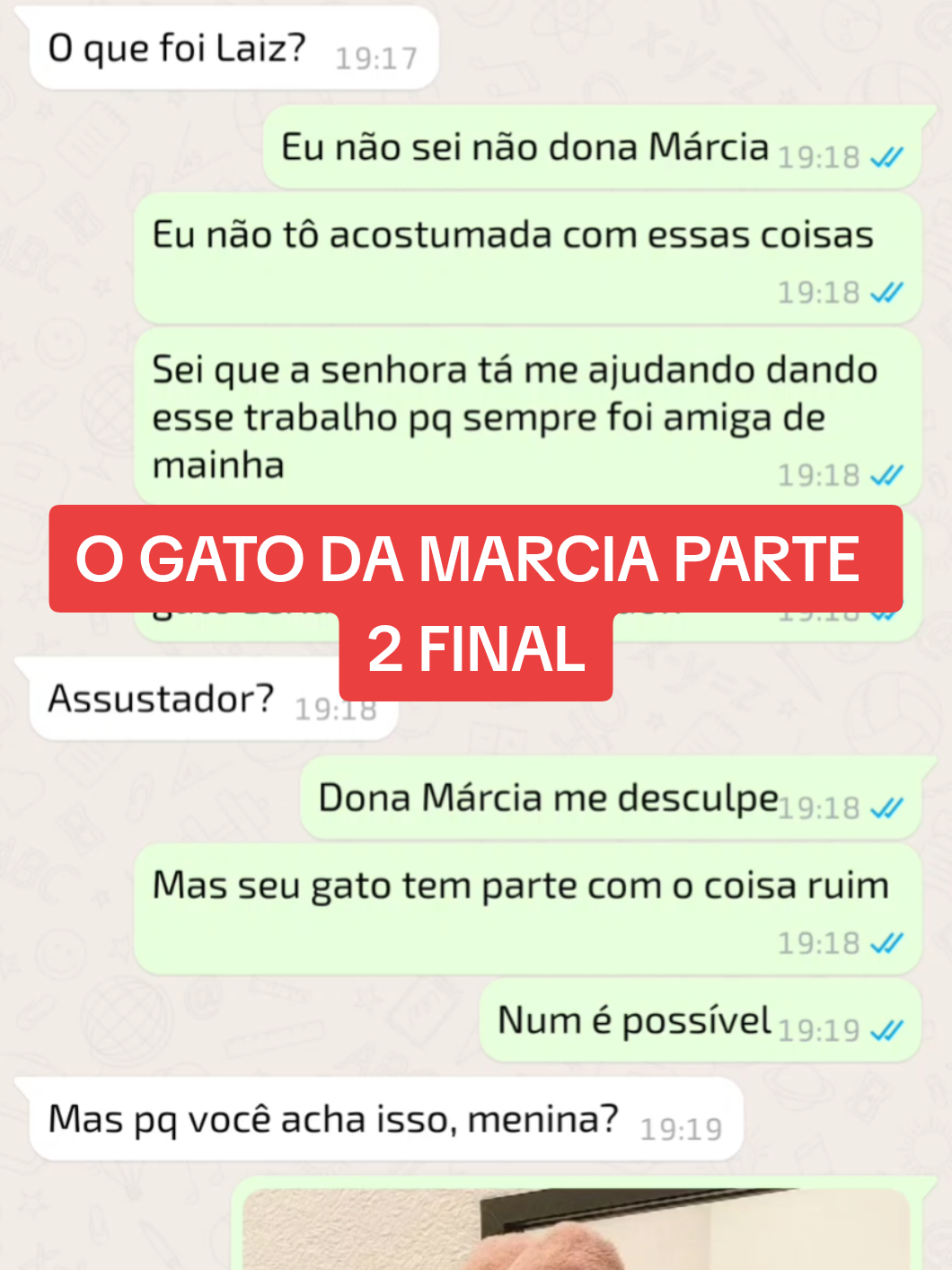 O GATO DA MÁRCIA PARTE 2 FINAL #gatos #conversas #historinhas #chatfake #whatsapp 
