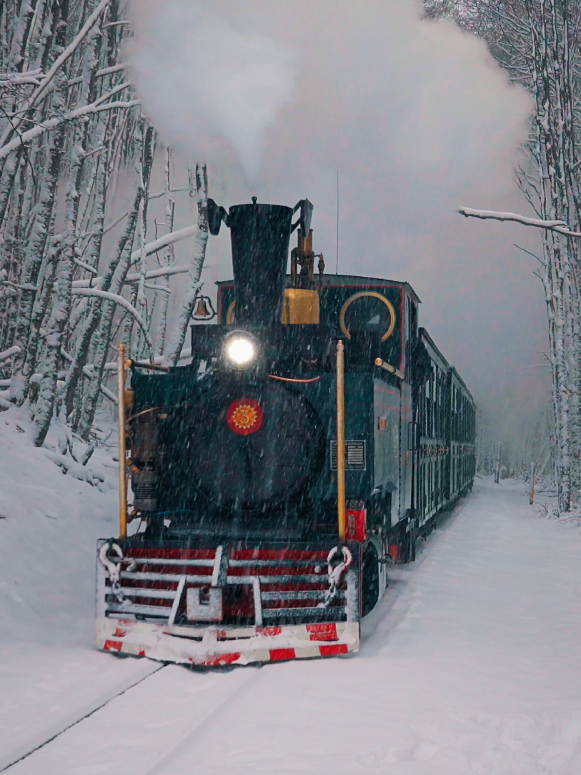 O trem do fim do mundo é uma das atrações queridinhas de Ushuaia🚂☃❄️ E quando a paisagem está toda nevada, acaba se tornando um passeio tirado de um roteiro de filme 🎬 #ushuaia #tremdofimdomundo #neve #nevando #parquenacional 