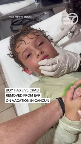 A boy in Cancun was in for one shell of a surprise when a tiny crab made his ear its home! He was swimming in open waters while on vacation in Cancun when he felt something in his ear. His mother took him to the hotel's hospital immediately, and they were able to get the crab out alive.