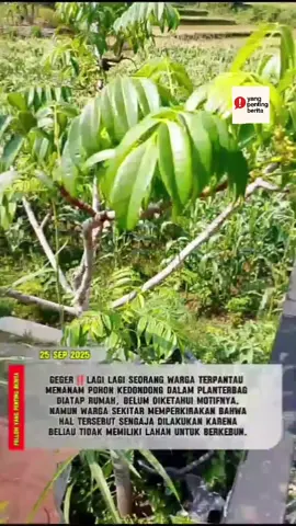 part.19_yang penting berita  #beritahariini #berita #kasusviral #fyp 