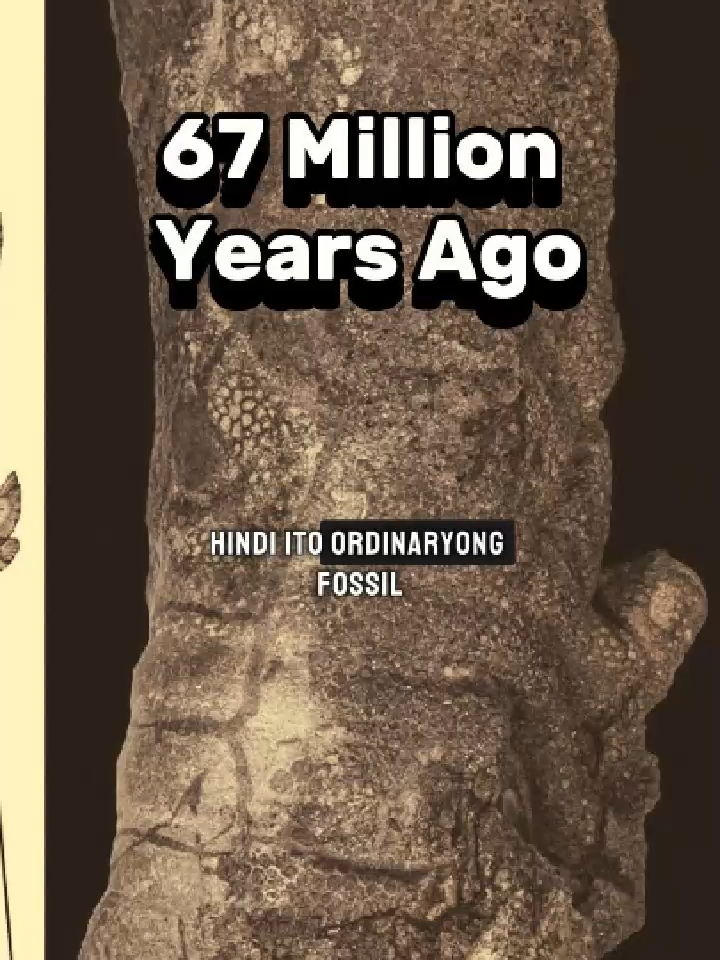 Akala natin buto lang ang natira… pero may dinosaur mummies pala. #MysteryTok #DinosaurMummy #UnsolvedMystery #ScienceTok #HistoryTok#AncientMystery #dinasour #jurassicworld