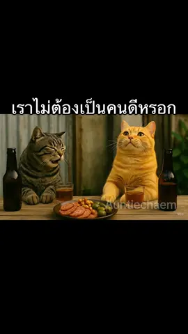 #ส้มลาย #fyp #แมว #แมวอ้วน #ai 
