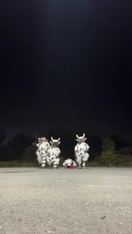 Up down cow  #alibaba💫 