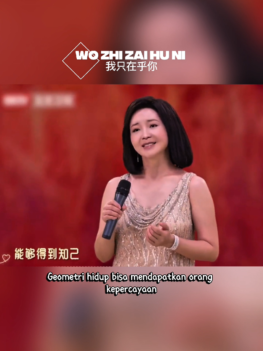 Wo Zhi Zai Hu Ni  我只在乎你 #fyp #mandarinsong #chinesesong #viral #lagumandarin 