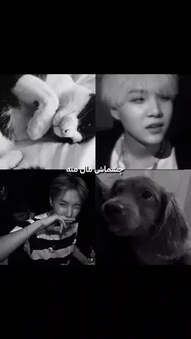 دیگه حوصله تیک تاک رو ندارم🤷🏻‍♀️ .  .  .  .  .  .  .  .  #yoongi #jhope_bts #btsarmy 