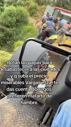 Botan las papas para desabastecer a las ciudades y q suba el precio, miserables Vargas e Iza, te das cuenta Borregos, prefieren matarte de hambre.