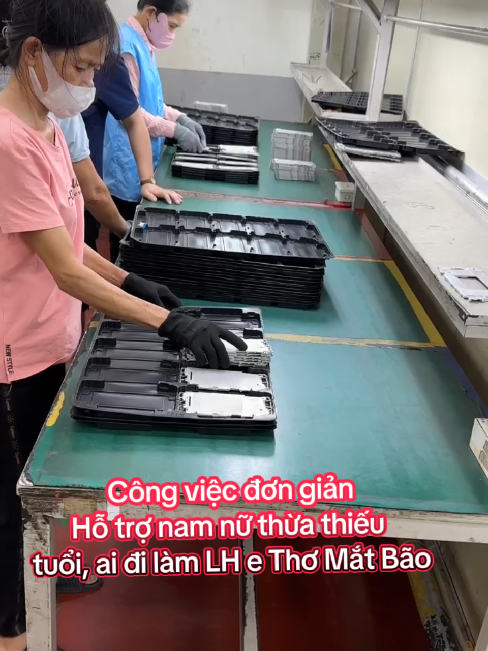 Cần tuyển nam nữ thời vụ làm tại cổng Vân Trung  #thomatbao #xuhuongtiktok #vieclamtaibacgiang #thinhhanh 