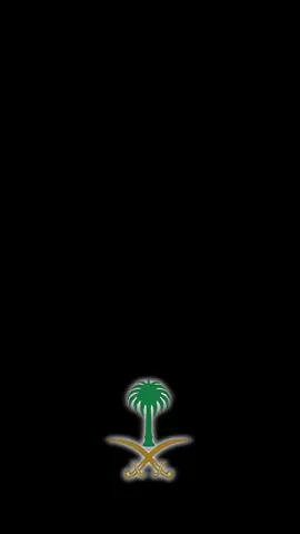 احتفال محافظة املج باليوم الوطني 🇸🇦🇸🇦##تبوك #املج #السعردية🇸🇦 #العظمى #الوطن #اليوم_الوطني_السعودي_94 