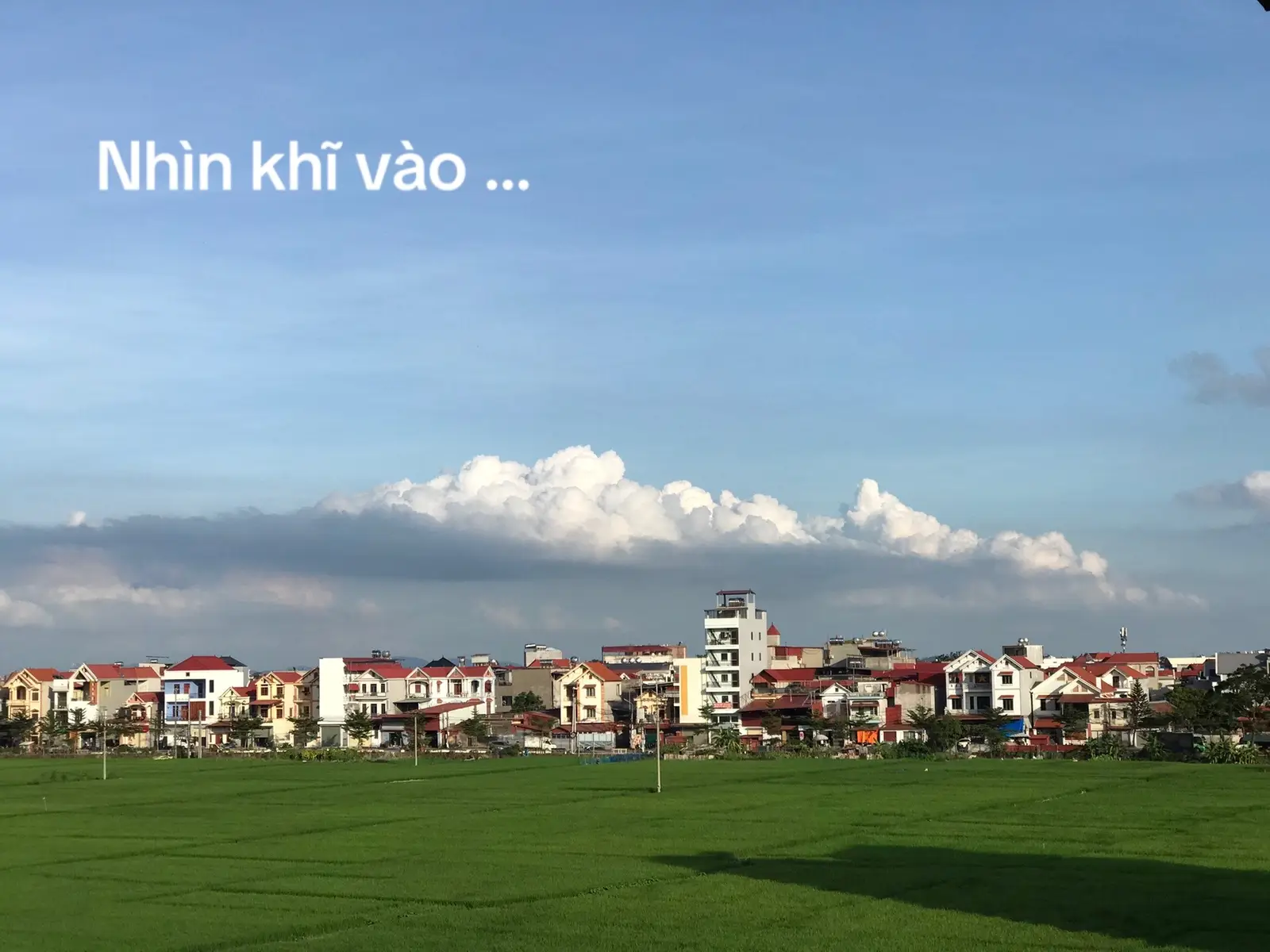 Khi yêu ai biết chữ ngờ một lòng một dạ thương người ta thật lòng …  #manhcuong#xuhuongtiktok#buongtamtrang💔🥀#fyp
