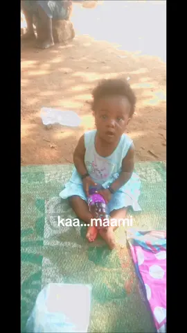 kaa maami