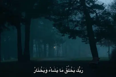 #محمد_صديق_المنشاوي #المنشاوي #quran #fyp #🎧 