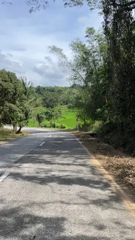 Tara nature?🍃