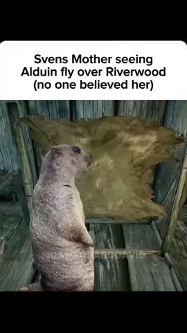 Equivalent to a UFO sighting in Skyrim #dragon #skyrim #skyrimmemes #skyrimtiktok #dawnguarddavid 