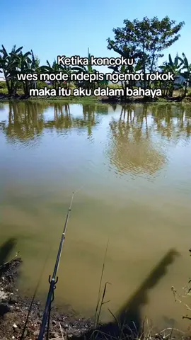 bahaya tenan iki 😭 #lewatberandamu #fypシ  #mancingmania #mancingkuy  #foryoupage 