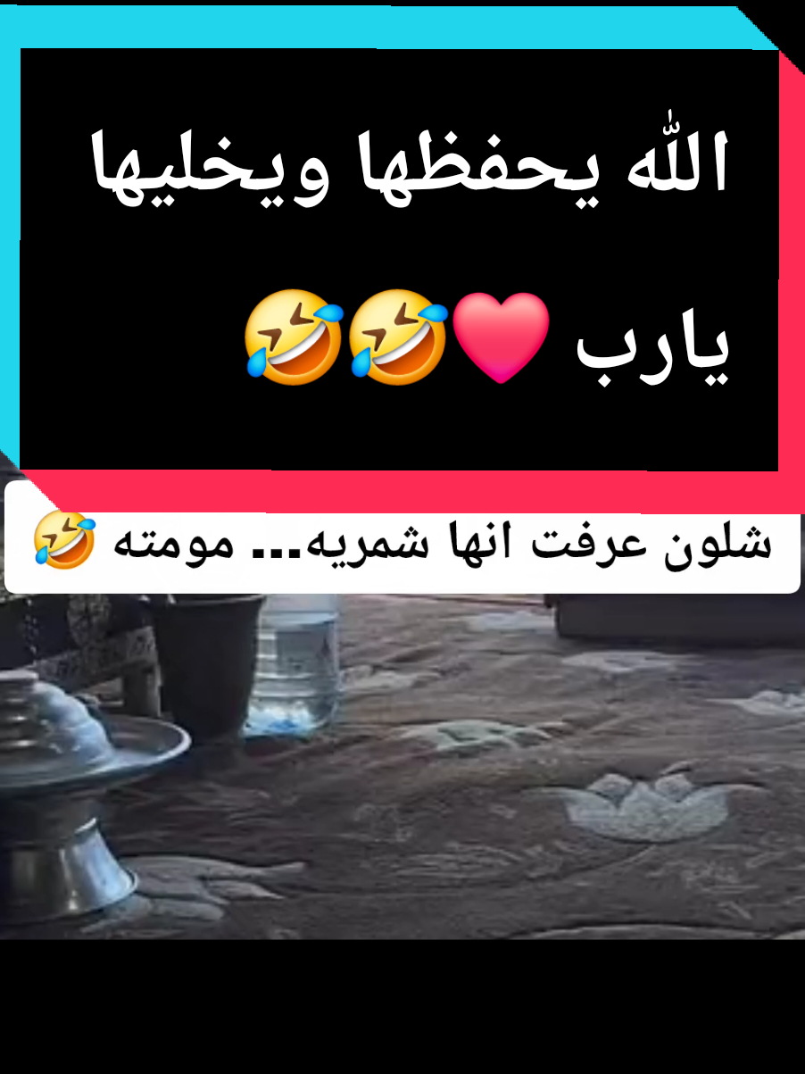 #ضحك #سالم_الشمري_ok #حايل #مالي_خلق_احط_هاشتاقات #الشعب_الصيني_ماله_حل😂✌️ @سالم الشمري OK @سالم الشمري OK @سالم الشمري OK 