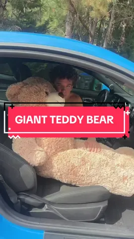 Perfect gift for any loved ones 🥰 #kidstoys #teddybear #stuffedanimal #plushies #christmas2025 