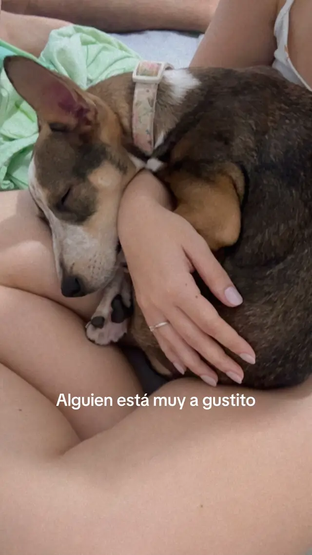 Mi compañera ❤️