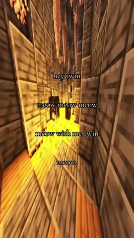 meow twin   #heytwin #stretchtok #Minecraft #gameplay #videogame 