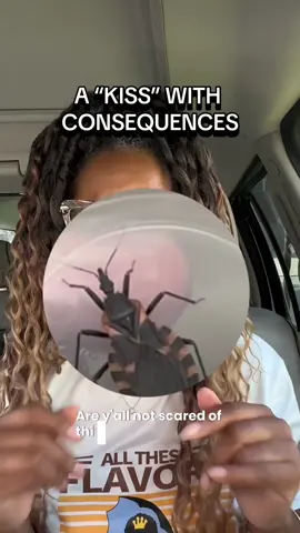Kissing bug alert: this triatomine bug (a.k.a. “kissing bug”) can bite your face while you sleep and can transmit the parasite linked to Chagas disease. Pay attention and share this so we know how to spot these nocturnal insects around your home, pets, and bedding. protect your family! Identify, prevent, and stay safe. #chagasdisease #kissingbug #kissofdeath #publichealth #DidYouKnow 