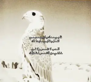 #شيلات  #قصيد  #foryou  #viral 