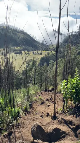 😍#gunungbuthak #fyp #gunungbuthak2868mdpl #pendakigunung 