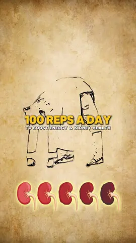 100 Reps a Day to Boost Energy & Kidney Health #DRjohnadams #fyp #Kidneyhealth #DailyExercise #EnergyBoost