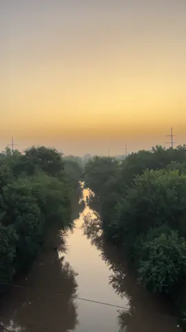 I just love it here in the morning🕊️❤️#viralmyvideo #fyp #lahore #creatorsearchinsights #lahoreinmorning 