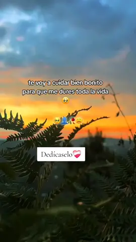 #frasesdeamor💕 #paradedicar🙈❤️🙈 #frasesdeamor #❤️ #viral 