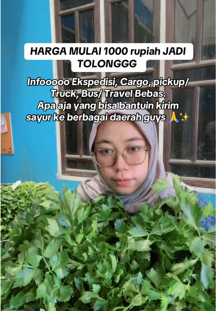 Boleh Komen atau DM ya guys ✨🙏 #sayur #suppliersayur #pedagang #pebisnismuda #fyp 