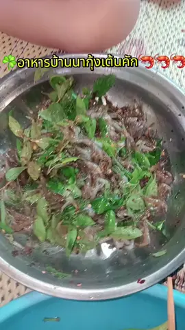 #tiktokพากิน #ຂອງແຊບບ້ານເຮົາ ຊບບ້ານເຮົາ