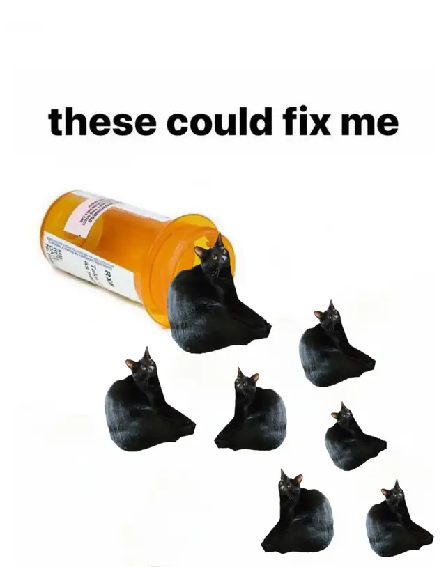 kitkat has been turned into a meme ✨️🐈‍⬛❤️