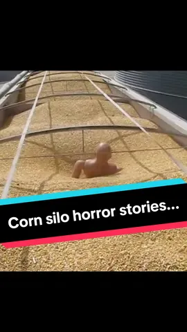 I know we've all seen this in movies... 😳 But what's the actual science behind it? 🤔 #Science #physics #farmlife #farm #farmtok 