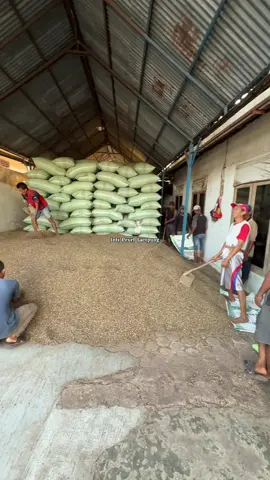 Biji kecil yang banyak tanya kemrin ready bossku  Informasi lebih lanjut  wa 089635508238 #kopihitam #kopirobusta #kopibubuk #bijikopi #fypdong 
