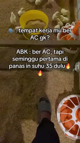 TITIP FARM AYAM POTONG - BERGABUNGLAH BERSAMA KAMI! Halo semuanya! Kami mengajak Anda untuk bergabung dalam program Titip Farm Ayam Potong, sebuah peluang usaha yang menjanjikan dengan modal yang terjangkau dan potensi keuntungan yang besar. Kenapa bergabung dengan kami? Peluang Usaha yang Menguntungkan: Dengan permintaan ayam potong yang terus meningkat, program ini memberi kesempatan untuk mendapatkan keuntungan yang stabil. Modal Terjangkau: Anda bisa mulai dengan modal yang fleksibel, dan kami akan bantu mengelola segala kebutuhan farm ayam potong. Manajemen Profesional: Kami memiliki tim yang berpengalaman dalam mengelola peternakan ayam, sehingga Anda bisa tenang dan fokus menikmati hasilnya. Keuntungan Transparan: Semua hasil dan pengelolaan akan transparan, dan Anda dapat memantau perkembangan usaha kapan saja. Cara bergabung mudah! 1. Daftarkan diri Anda. 2. Tentukan jumlah ayam yang ingin Anda titipkan. 3. Dapatkan laporan rutin tentang perkembangan peternakan. Jadi, tunggu apa lagi? Segera gabung sekarang dan mulai hasilkan keuntungan bersama kami! Hubungi kami untuk informasi lebih lanjut. #ayampotong #bisnis #fyp #fypシ #viral 
