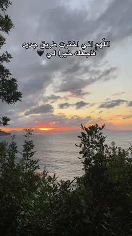 القران الكريم #محتوى_ديني #jijel_____algér⚡❤ #قران #اكتب_شيء_تؤجر_عليه🌿🕊 #ادعية_اسلامية_تريح_القلب #صدقه_جاريه 
