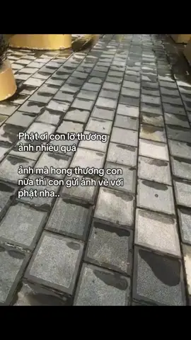 Phật ơi con lỡ thương  ảnh nhiều quá ảnh mà hong thương con nữa thì con gửi ảnh về với phật nha..  #xhuongtiktok #xhhhhh 